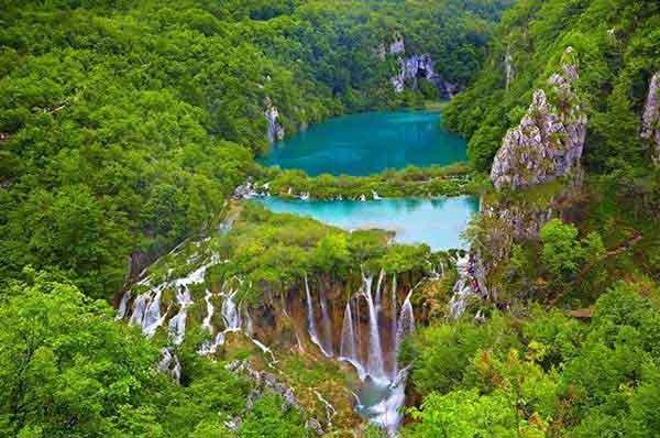 深圳殺蟲(chóng)公司 怎么名利雙收！這才是飛蟲(chóng)控制