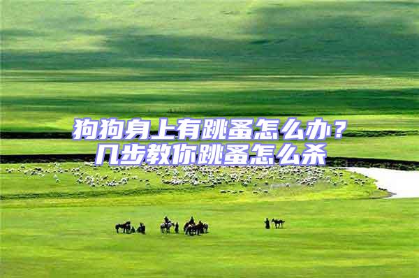 狗狗身上有跳蚤怎么辦？幾步教你跳蚤怎么殺