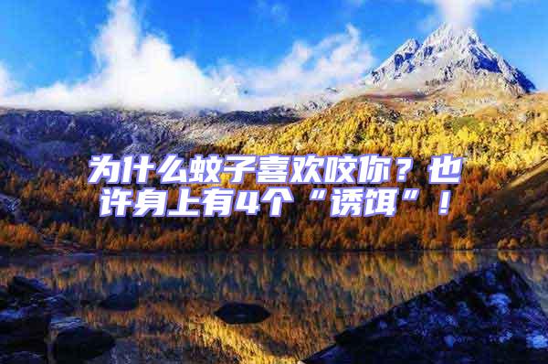 為什么蚊子喜歡咬你?也許身上有4個(gè)“誘餌”!