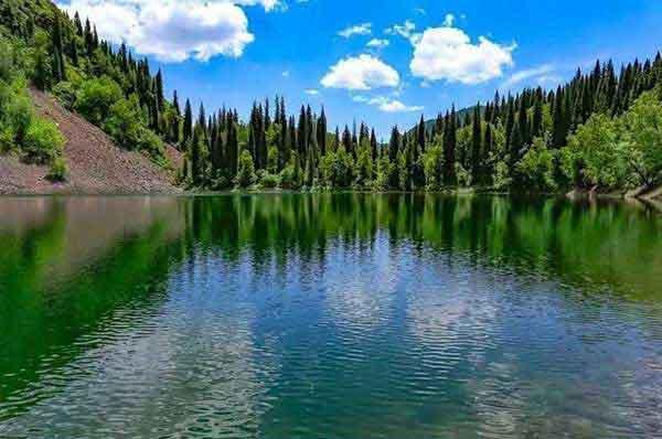 諸暨一白蟻巢里,蟻后竟有拇指大