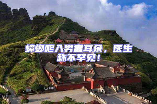 蟑螂爬入男童耳朵,醫生稱不罕見!