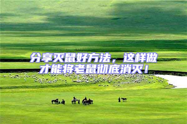 分享滅鼠好方法,這樣做才能將老鼠徹底消滅!