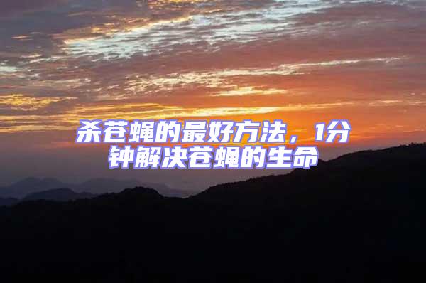 殺蒼蠅的最好方法，1分鐘解決蒼蠅的生命