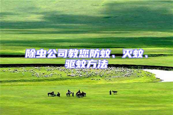 除蟲公司教您防蚊、滅蚊、驅(qū)蚊方法