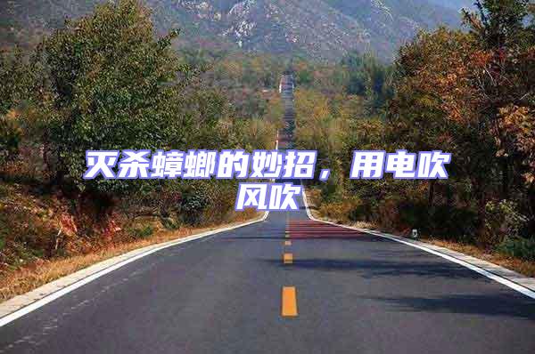 滅殺蟑螂的妙招，用電吹風吹