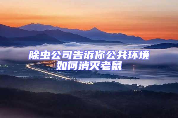 除蟲公司告訴你公共環境如何消滅老鼠