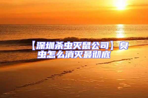 【深圳殺蟲滅鼠公司】臭蟲怎么消滅最徹底