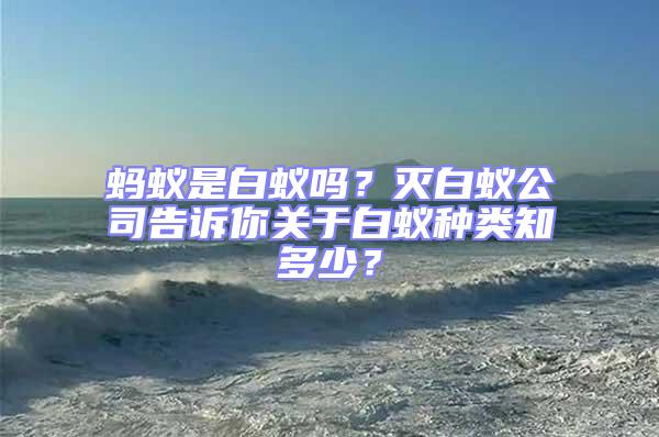 螞蟻是白蟻嗎？滅白蟻公司告訴你關于白蟻種類知多少？