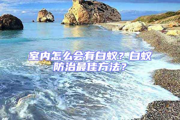 室內怎么會有白蟻？白蟻防治最佳方法？