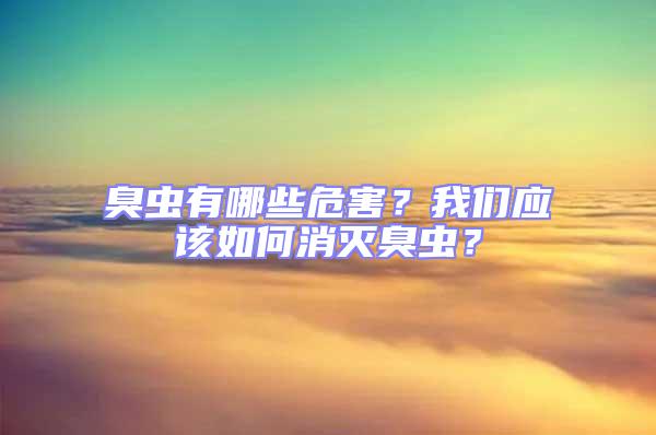 臭蟲有哪些危害?我們應該如何消滅臭蟲?