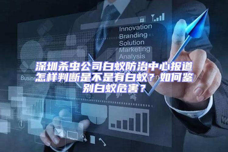 深圳殺蟲公司白蟻防治中心報道怎樣判斷是不是有白蟻?如何鑒別白蟻危害?