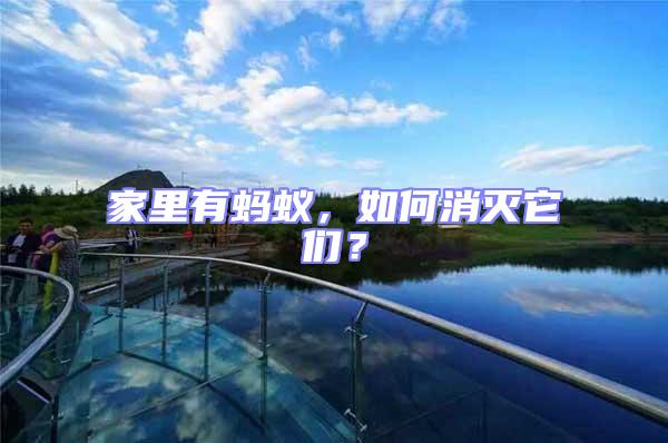 家里有螞蟻,如何消滅它們?