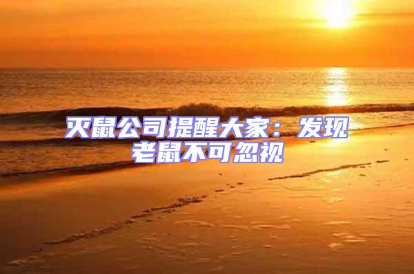 滅鼠公司提醒大家:發現老鼠不可忽視