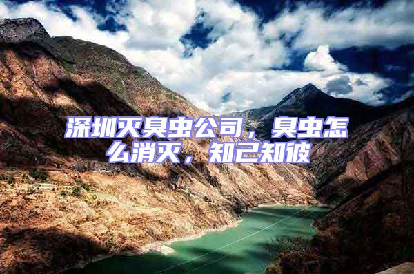 深圳滅臭蟲公司,臭蟲怎么消滅,知己知彼