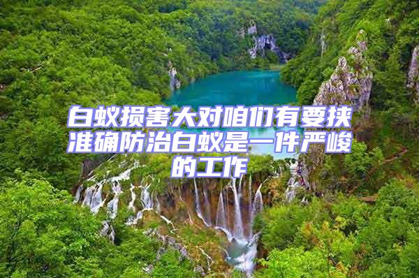 白蟻損害大對(duì)咱們有要挾準(zhǔn)確防治白蟻是一件嚴(yán)峻的工作