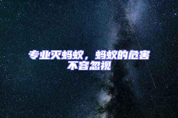 專業滅螞蟻,螞蟻的危害不容忽視