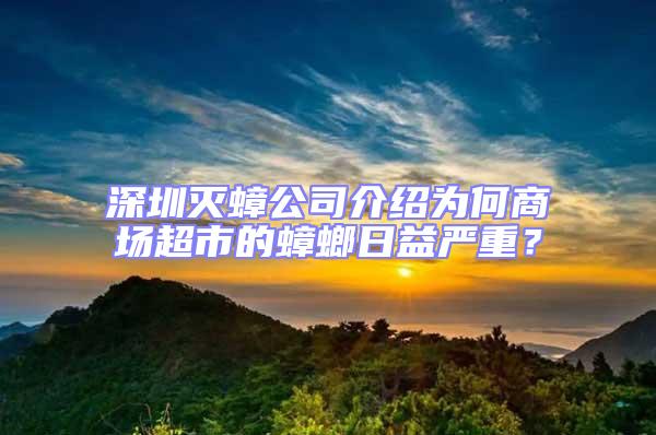 深圳滅蟑公司介紹為何商場超市的蟑螂日益嚴重?
