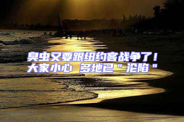 臭蟲又要跟紐約客戰(zhàn)爭了!大家小心 多地已"淪陷"