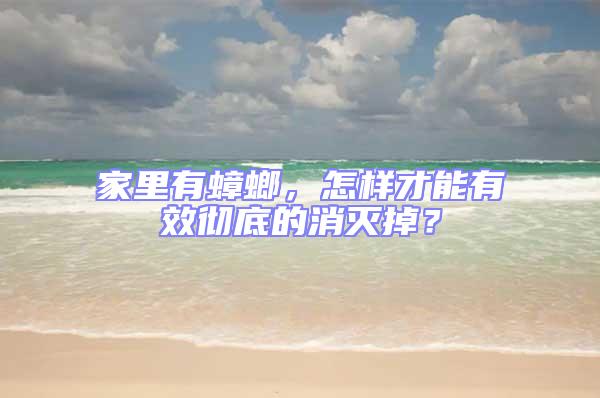家里有蟑螂,怎樣才能有效徹底的消滅掉?