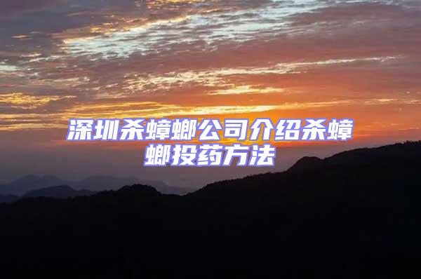 深圳殺蟑螂公司介紹殺蟑螂投藥方法