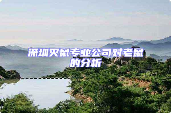 深圳滅鼠專業公司對老鼠的分析