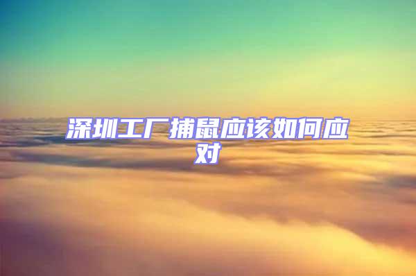 深圳工廠捕鼠應(yīng)該如何應(yīng)對