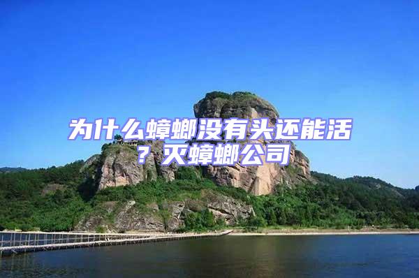 為什么蟑螂沒有頭還能活？滅蟑螂公司