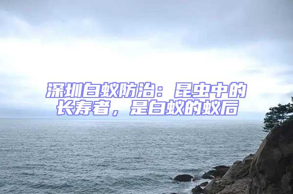 深圳白蟻防治：昆蟲中的長(zhǎng)壽者，是白蟻的蟻后