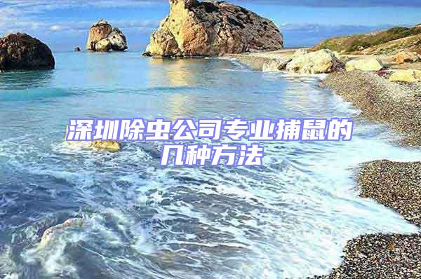 深圳除蟲(chóng)公司專業(yè)捕鼠的幾種方法