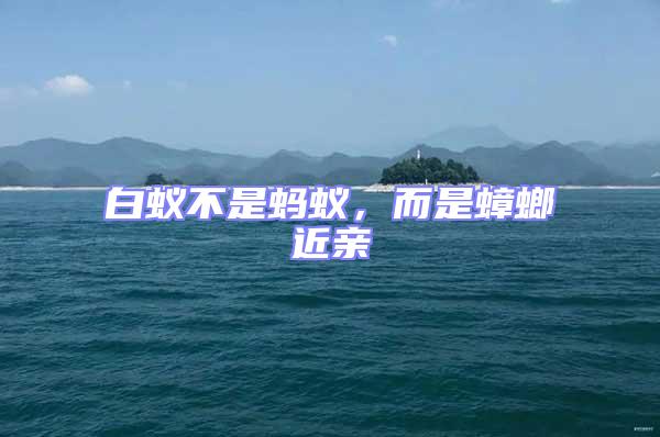 白蟻不是螞蟻,而是蟑螂近親