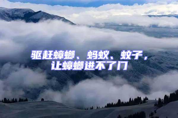 驅趕蟑螂、螞蟻、蚊子,讓蟑螂進不了門