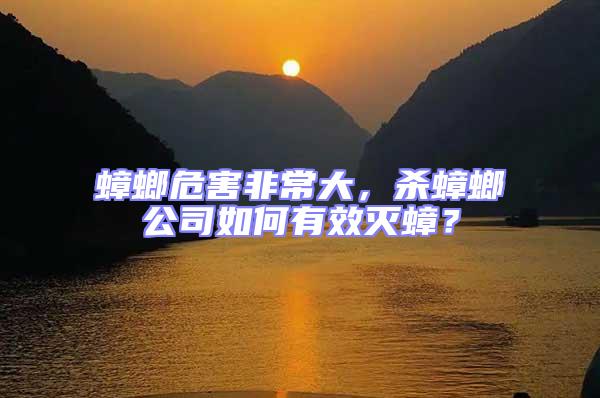 蟑螂危害非常大,殺蟑螂公司如何有效滅蟑?