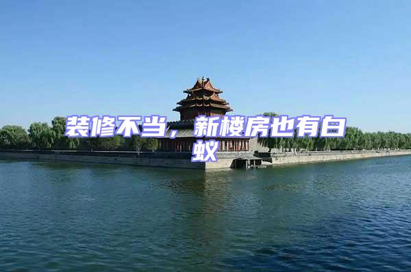 裝修不當，新樓房也有白蟻