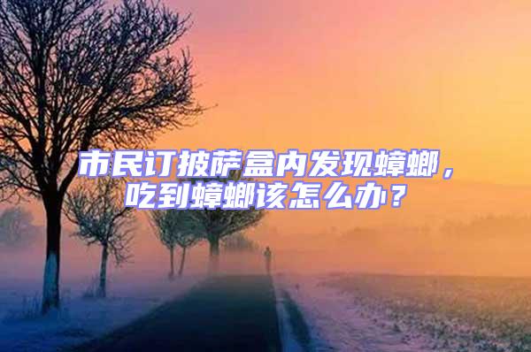 市民訂披薩盒內發現蟑螂，吃到蟑螂該怎么辦？