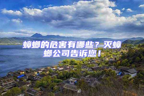 蟑螂的危害有哪些?滅蟑螂公司告訴您!