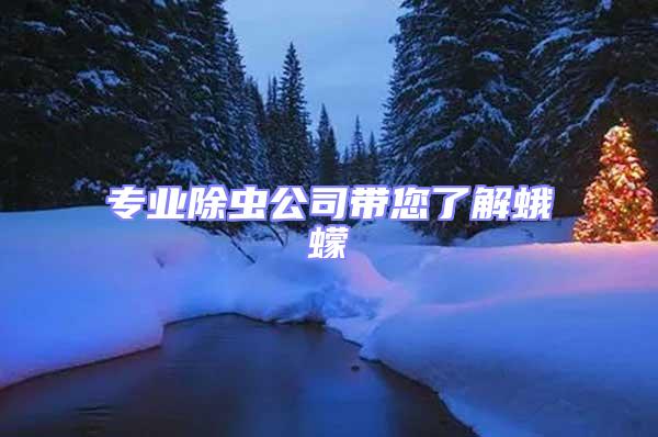 專業除蟲公司帶您了解蛾蠓