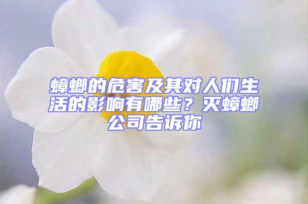 蟑螂的危害及其對(duì)人們生活的影響有哪些?滅蟑螂公司告訴你