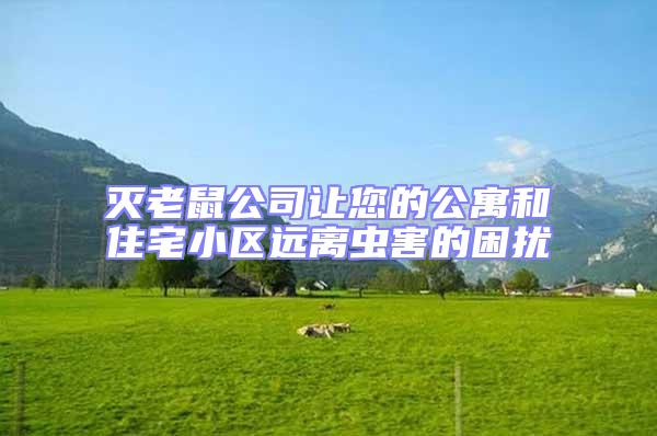 滅老鼠公司讓您的公寓和住宅小區(qū)遠(yuǎn)離蟲害的困擾