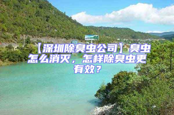 【深圳除臭蟲公司】臭蟲怎么消滅,怎樣除臭蟲更有效?