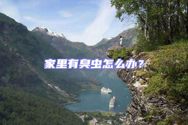 家里有臭蟲怎么辦?