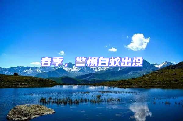 春季,警惕白蟻出沒