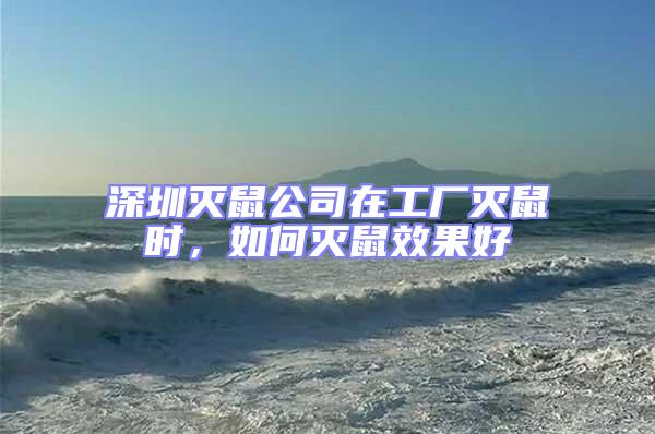 深圳滅鼠公司在工廠滅鼠時,如何滅鼠效果好