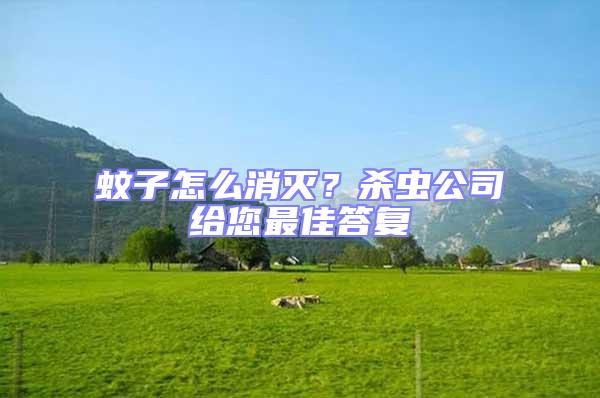 蚊子怎么消滅?殺蟲公司給您最佳答復