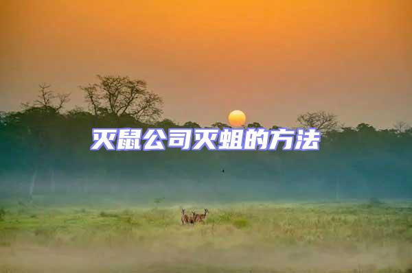 滅鼠公司滅蛆的方法