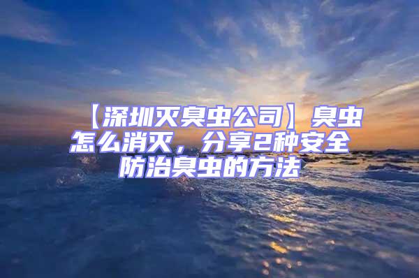 【深圳滅臭蟲公司】臭蟲怎么消滅,分享2種安全防治臭蟲的方法