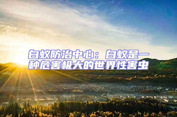白蟻防治中心:白蟻是一種危害極大的世界性害蟲