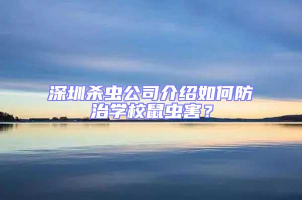 深圳殺蟲公司介紹如何防治學校鼠蟲害？