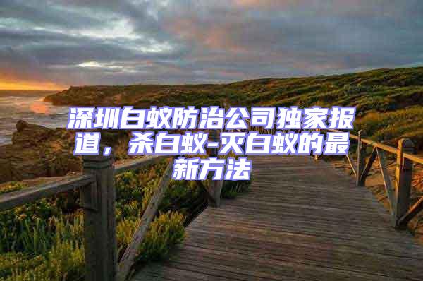 深圳白蟻防治公司獨家報道,殺白蟻-滅白蟻的最新方法