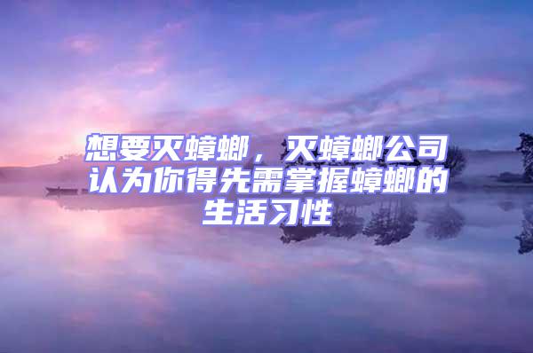 想要滅蟑螂，滅蟑螂公司認為你得先需掌握蟑螂的生活習性