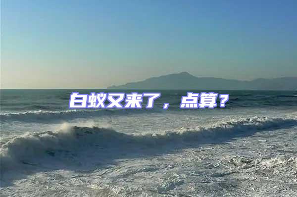 白蟻又來了，點算？